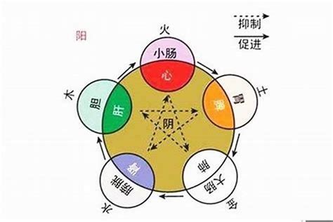 維五行|维字的五行属性